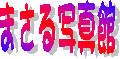 gbvɖ߂